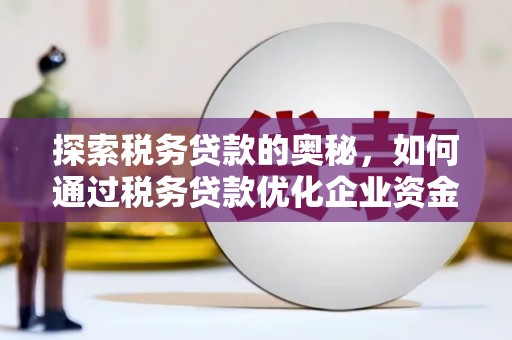 观音探索税务贷款的奥秘，如何通过税务贷款优化企业资金流