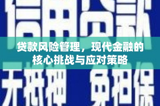 观音贷款风险管理，现代金融的核心挑战与应对策略