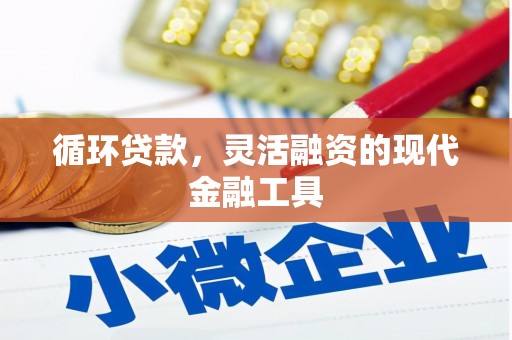 观音循环贷款，灵活融资的现代金融工具