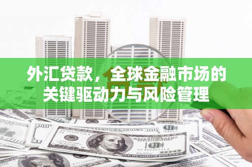 观音外汇贷款，全球金融市场的关键驱动力与风险管理
