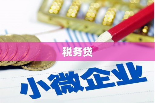 观音税务贷