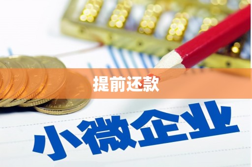 观音提前还款