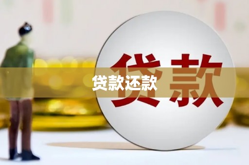 观音贷款还款