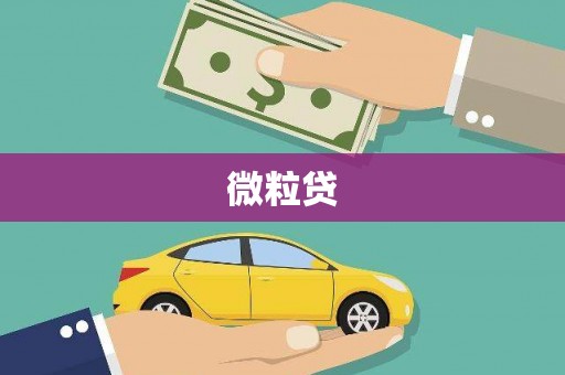 观音微粒贷