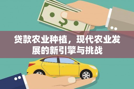 观音贷款农业种植，现代农业发展的新引擎与挑战