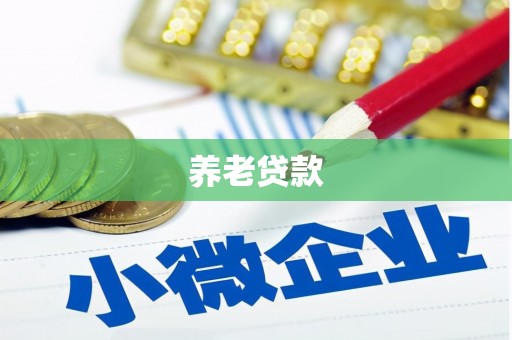 观音养老贷款