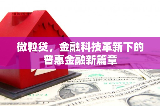 观音微粒贷，金融科技革新下的普惠金融新篇章