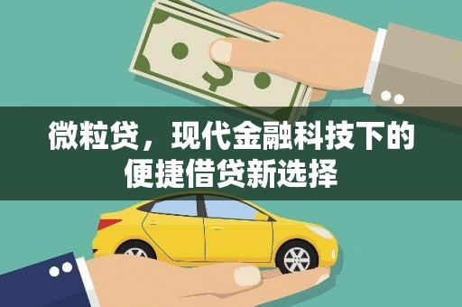 观音微粒贷，现代金融科技下的便捷借贷新选择
