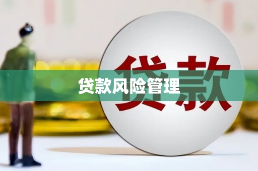 观音贷款风险管理