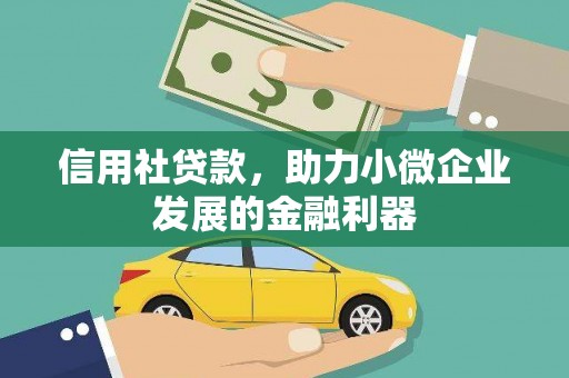 观音信用社贷款，助力小微企业发展的金融利器