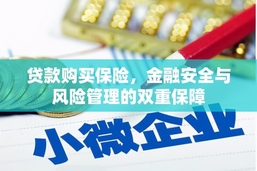 观音贷款购买保险，金融安全与风险管理的双重保障