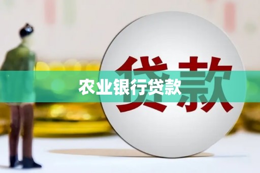 观音农业银行贷款