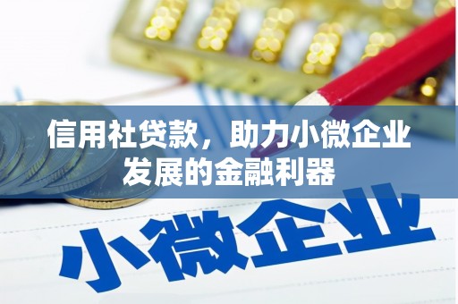 观音信用社贷款，助力小微企业发展的金融利器