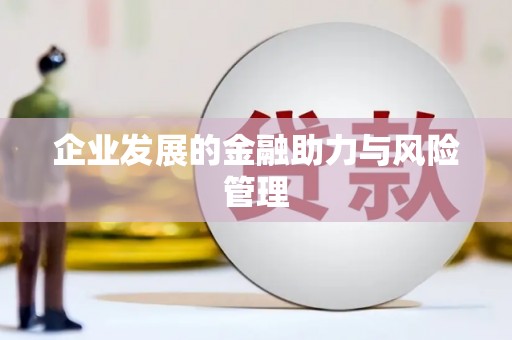 观音企业发展的金融助力与风险管理