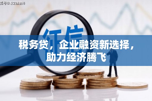 观音税务贷，企业融资新选择，助力经济腾飞