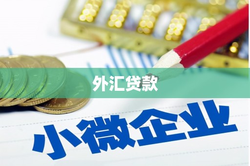观音外汇贷款