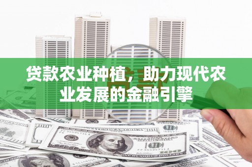观音贷款农业种植，助力现代农业发展的金融引擎