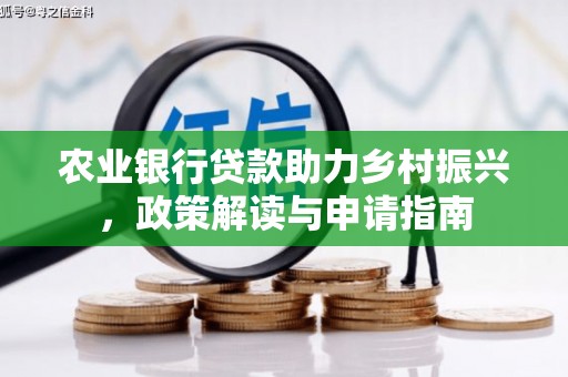 观音农业银行贷款助力乡村振兴，政策解读与申请指南
