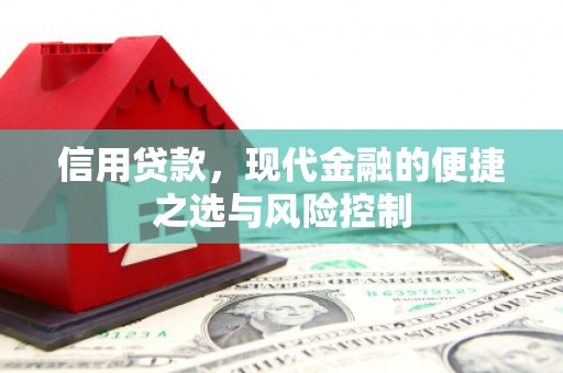 观音信用贷款，现代金融的便捷之选与风险控制