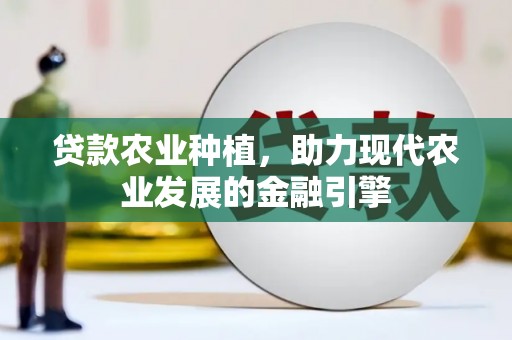 观音贷款农业种植，助力现代农业发展的金融引擎