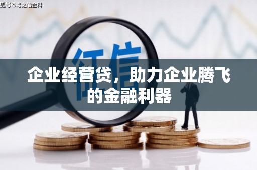 观音企业经营贷，助力企业腾飞的金融利器