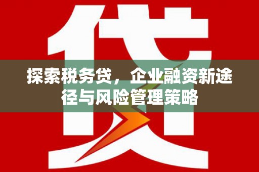 观音探索税务贷，企业融资新途径与风险管理策略