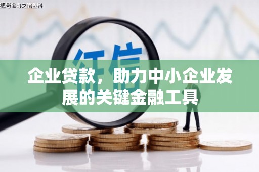 观音企业贷款，助力中小企业发展的关键金融工具