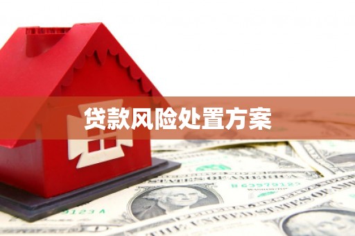 观音贷款风险处置方案