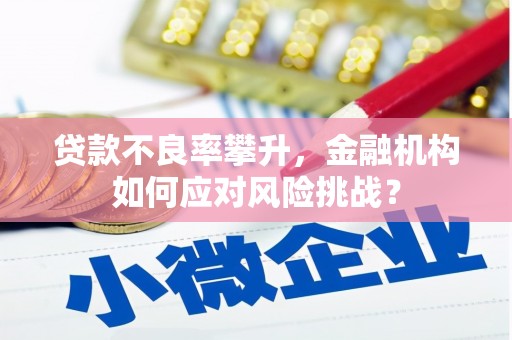 观音贷款不良率攀升，金融机构如何应对风险挑战？