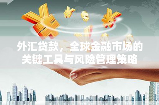 观音外汇贷款，全球金融市场的关键工具与风险管理策略