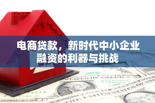 观音电商贷款，新时代中小企业融资的利器与挑战