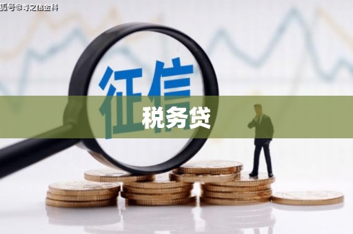 观音税务贷