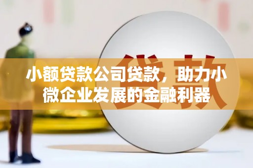 观音小额贷款公司贷款，助力小微企业发展的金融利器
