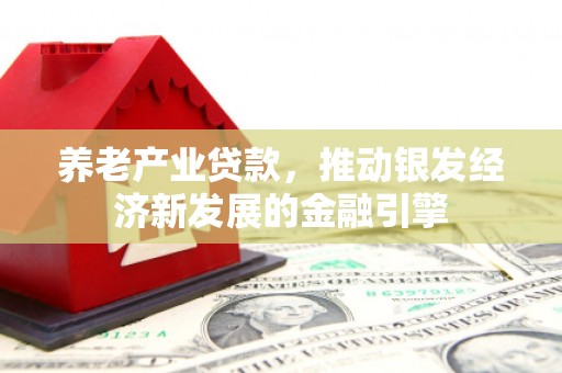 观音养老产业贷款，推动银发经济新发展的金融引擎