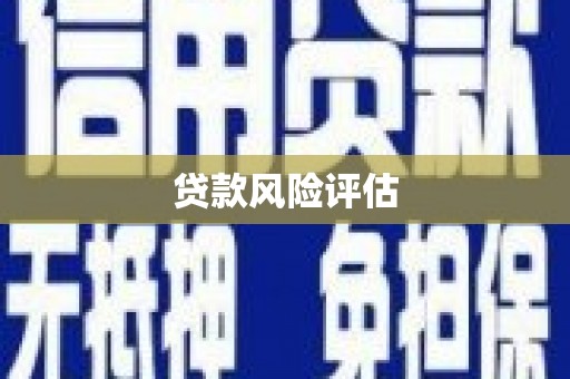 观音贷款风险评估