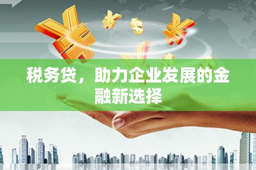 观音税务贷，助力企业发展的金融新选择