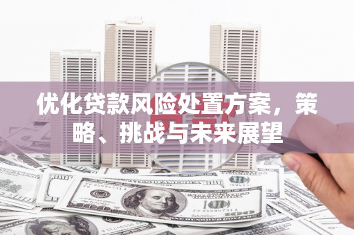 观音优化贷款风险处置方案，策略、挑战与未来展望
