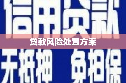 观音贷款风险处置方案