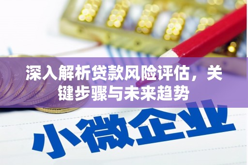 观音深入解析贷款风险评估，关键步骤与未来趋势