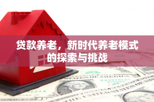 观音贷款养老，新时代养老模式的探索与挑战