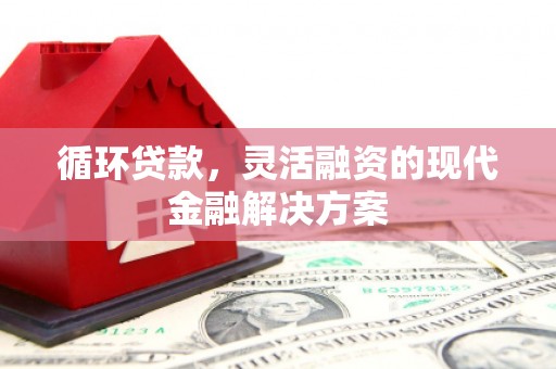 观音循环贷款，灵活融资的现代金融解决方案