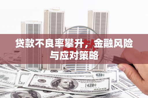 观音贷款不良率攀升，金融风险与应对策略