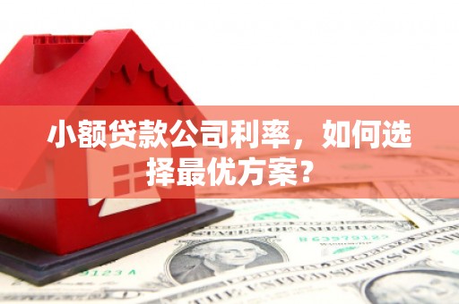 观音小额贷款公司利率，如何选择最优方案？