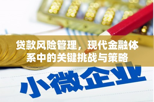 观音贷款风险管理，现代金融体系中的关键挑战与策略