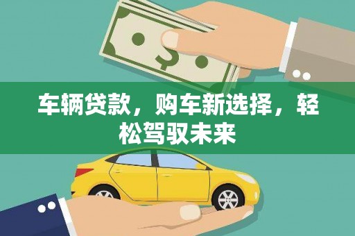 观音车辆贷款，购车新选择，轻松驾驭未来