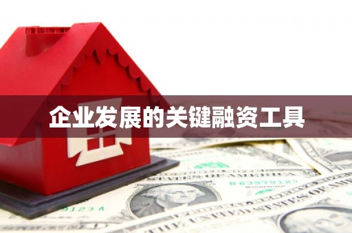 观音企业发展的关键融资工具