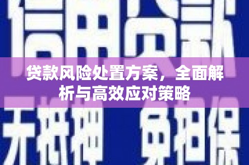 观音贷款风险处置方案，全面解析与高效应对策略