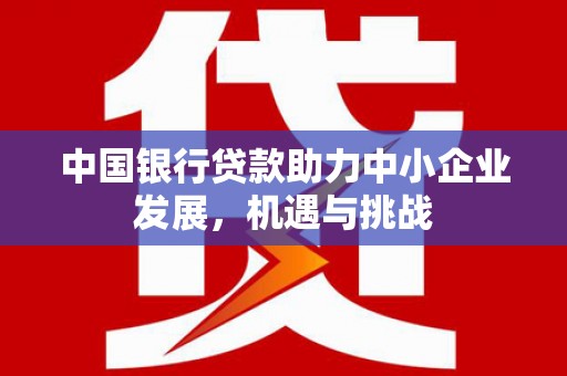 观音中国银行贷款助力中小企业发展，机遇与挑战