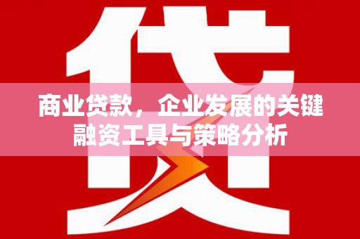 观音商业贷款，企业发展的关键融资工具与策略分析