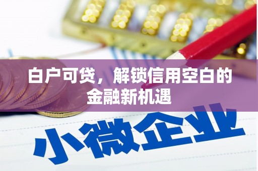 观音白户可贷，解锁信用空白的金融新机遇